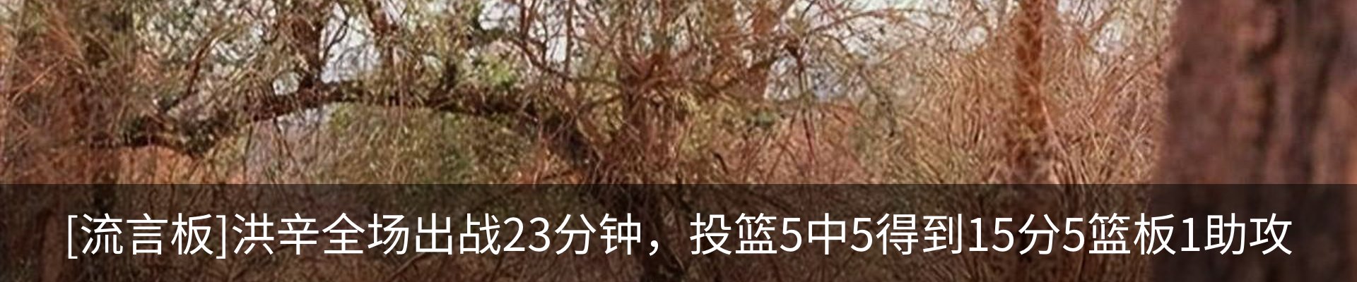 内页banner